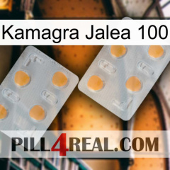 Kamagra Jelly 100 25